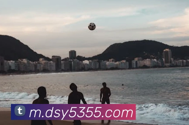 大三元官网平台登录平台生态图